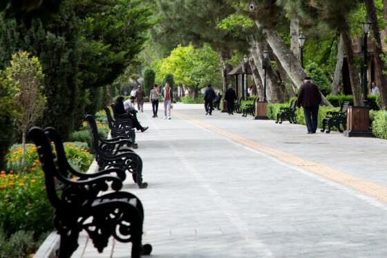 پارک شهر ۱۰صبح