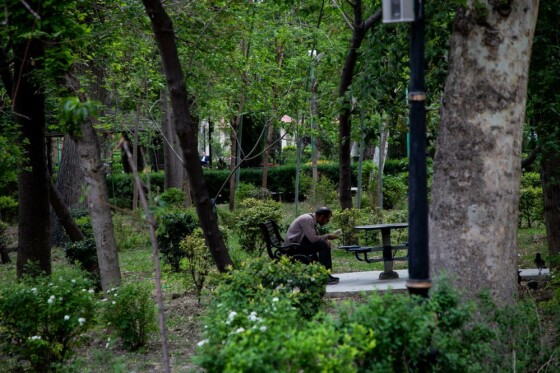 پارک شهر ۱۰صبح