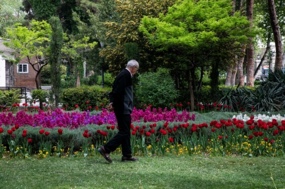 پارک شهر ۱۰صبح