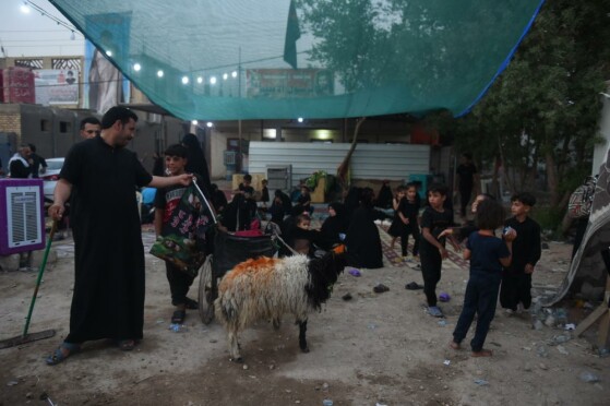 پیاده روی اربعین حسینی از نجف به سوی کربلا