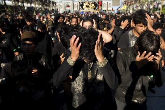 کربلای معلی در آستانه اربعین حسینی (ع)