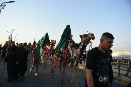 نجف در آستانه اربعین حسینی