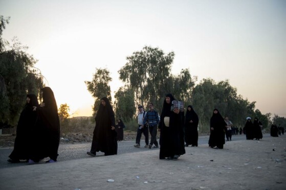 پیاده روی اربعین از مسیر طریق العلما