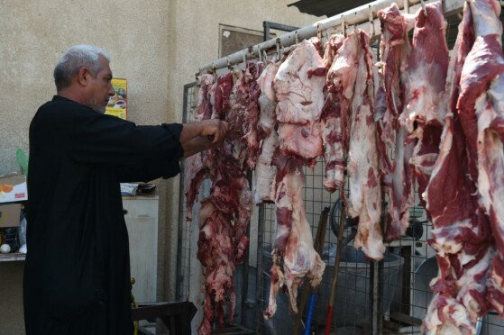 پذیرایی مردم شهر کربلا از زائرین اربعین حسینی(ع)