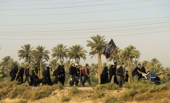 پیاده روی اربعین از مسیر طریق العلما