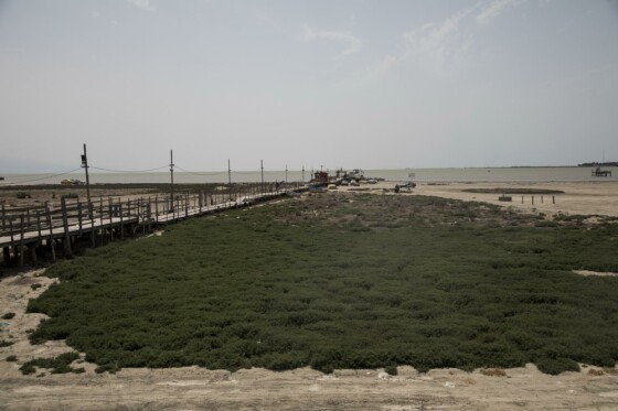 لایروبی خلیج گرگان