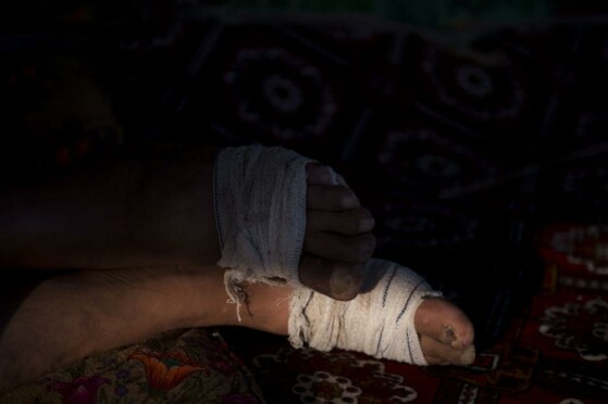 پیاده روی اربعین از مسیر طریق العلما