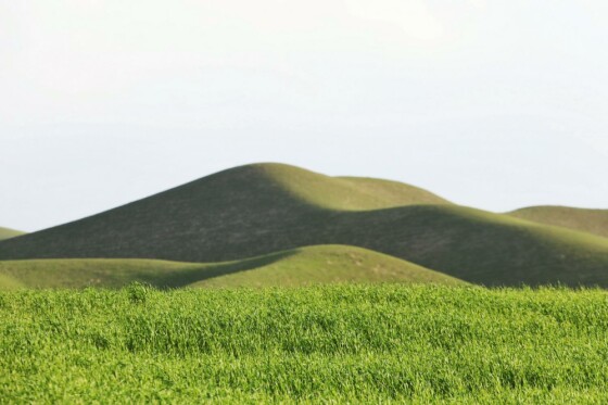 طبیعت بهاری استان گلستان
