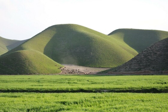 طبیعت بهاری استان گلستان