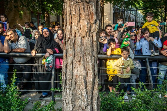 جشن تولد دو سالگی «مایسا»، بچه فیل آسیایی در باغ وحش ارم