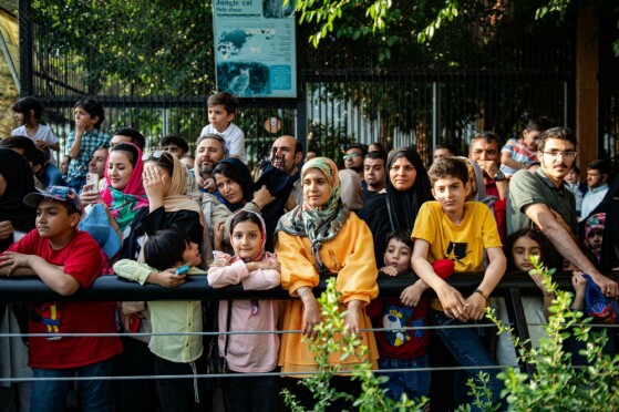 جشن تولد دو سالگی «مایسا»، بچه فیل آسیایی در باغ وحش ارم