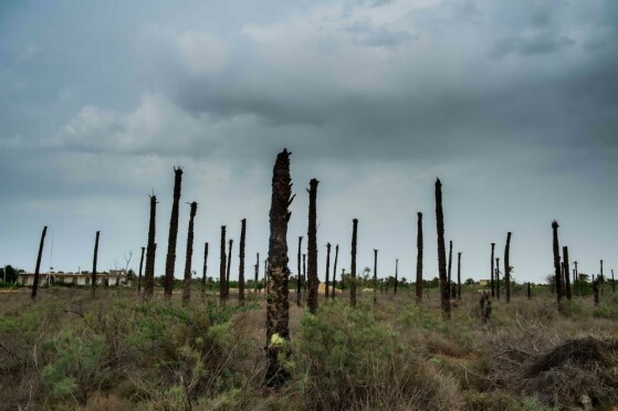 یادگاری، جنگ تحمیلی در دل خرمشهر