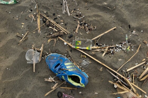 به بهانه هفته محیط زیست