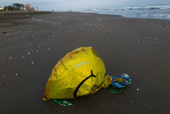 به بهانه هفته محیط زیست