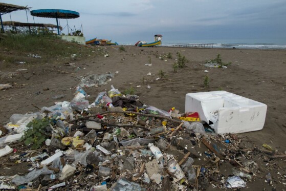 به بهانه هفته محیط زیست