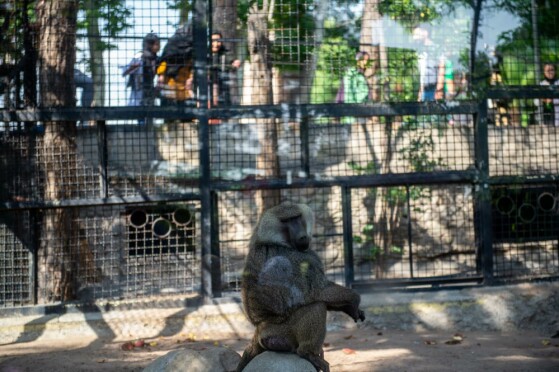 باغ وحش پارک ارم تهران