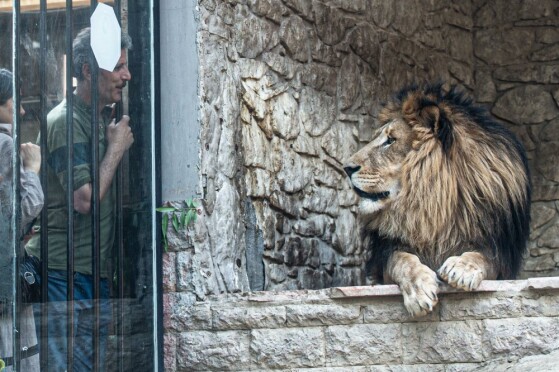 باغ وحش پارک ارم تهران