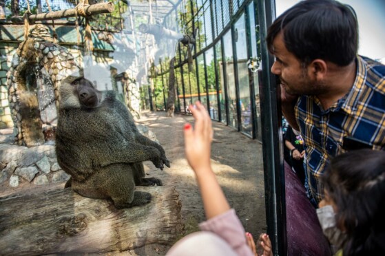 باغ وحش پارک ارم تهران