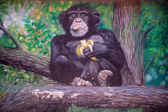 باغ وحش پارک ارم تهران