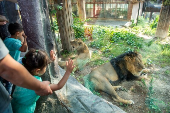 باغ وحش پارک ارم تهران