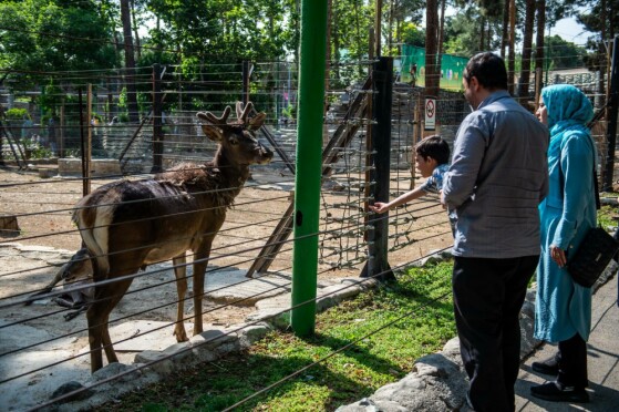 باغ وحش پارک ارم تهران