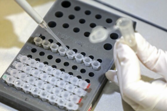 پژوهشگاه رویان