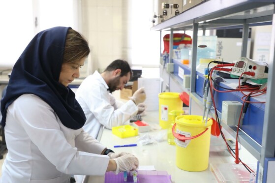 پژوهشگاه رویان