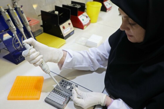 پژوهشگاه رویان