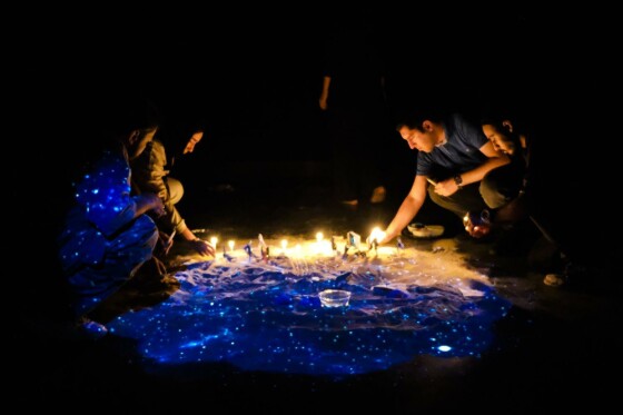 نمایش دایره