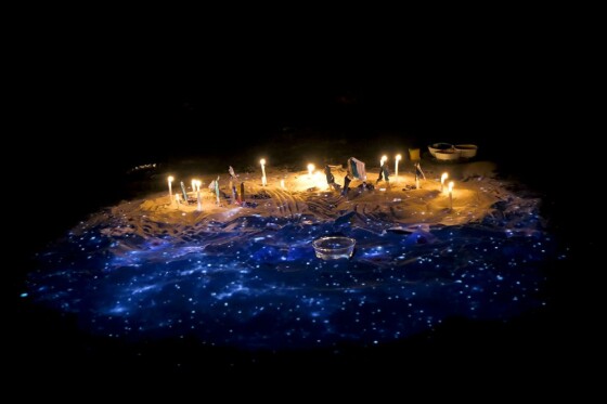 نمایش دایره