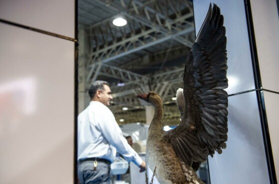 نمایشگاه «روایت خدمت؛وعده وفا»