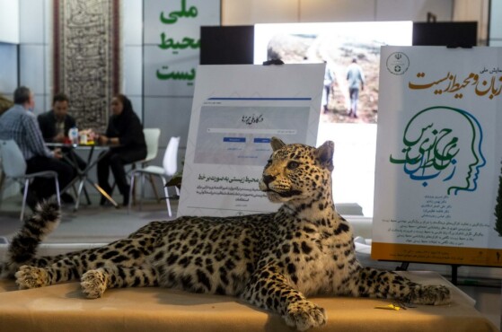 نمایشگاه «روایت خدمت؛وعده وفا»