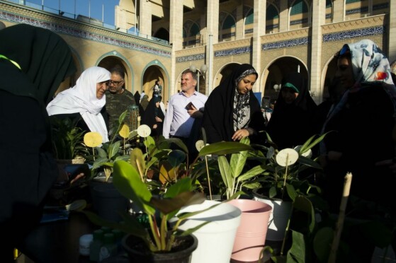 نمایشگاه «روستا آباد»