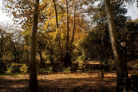 پاییز در مجموعه تاریخی سعد آباد تهران