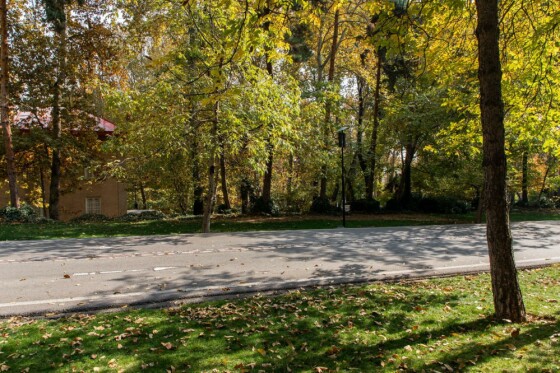 پاییز در مجموعه تاریخی سعد آباد تهران