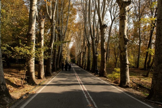 پاییز در مجموعه تاریخی سعد آباد تهران