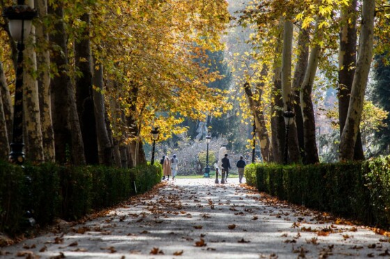 پاییز در مجموعه تاریخی سعد آباد تهران