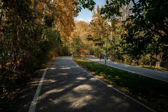 پاییز در مجموعه تاریخی سعد آباد تهران