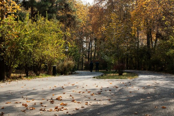 پاییز در مجموعه تاریخی سعد آباد تهران