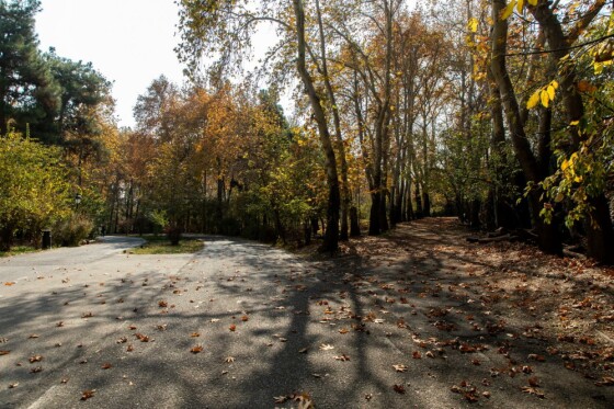 پاییز در مجموعه تاریخی سعد آباد تهران