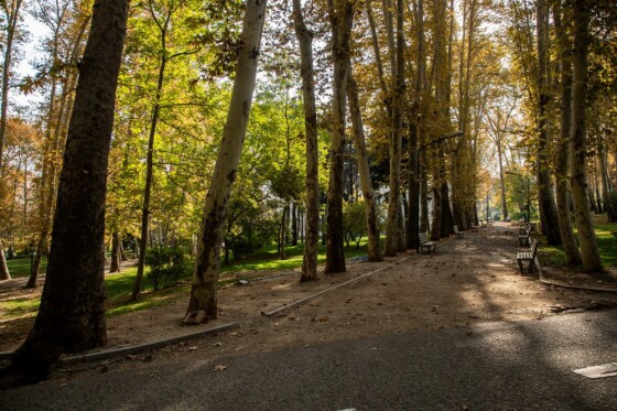 پاییز در مجموعه تاریخی سعد آباد تهران