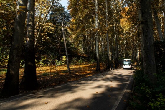 پاییز در مجموعه تاریخی سعد آباد تهران
