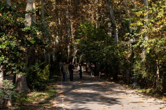 پاییز در مجموعه تاریخی سعد آباد تهران