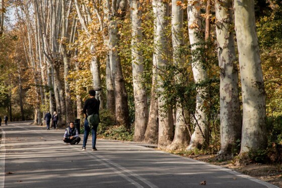 پاییز در مجموعه تاریخی سعد آباد تهران
