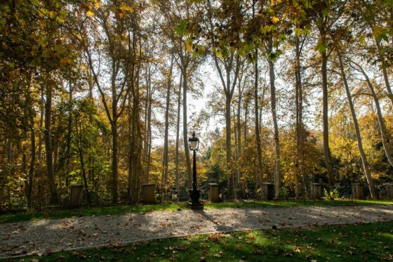 پاییز در مجموعه تاریخی سعد آباد تهران