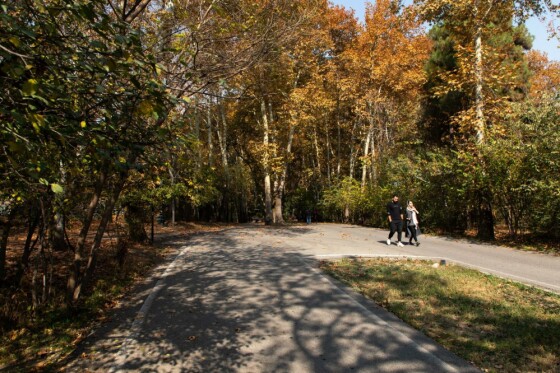 پاییز در مجموعه تاریخی سعد آباد تهران