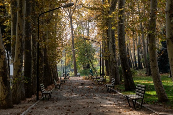 پاییز در مجموعه تاریخی سعد آباد تهران