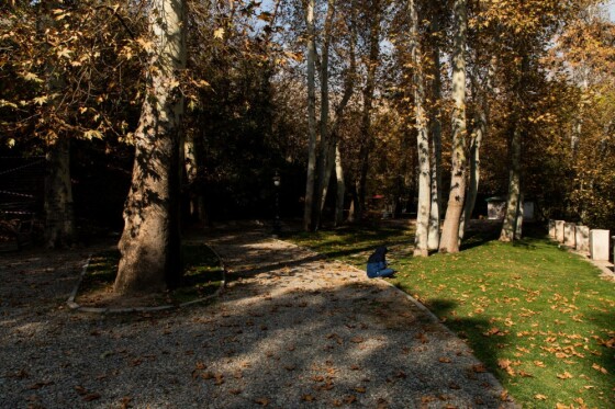 پاییز در مجموعه تاریخی سعد آباد تهران