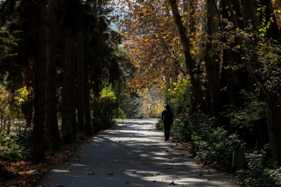 پاییز در مجموعه تاریخی سعد آباد تهران