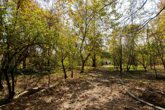 پاییز در مجموعه تاریخی سعد آباد تهران